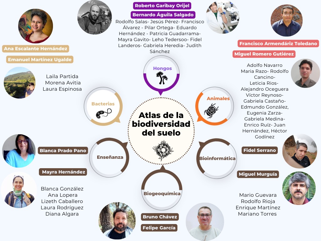 ¿Quiénes participamos en este proyecto?:  - 