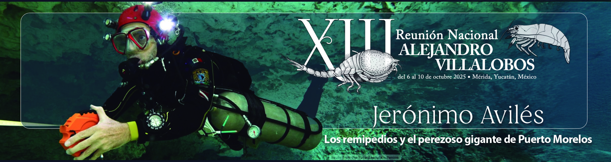 Conferencias: - Conferencias: -