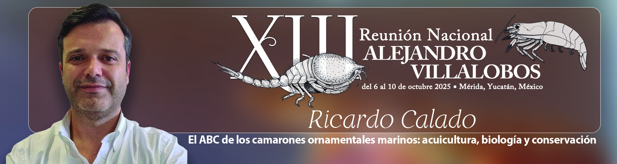 Conferencias: - Conferencias: -
