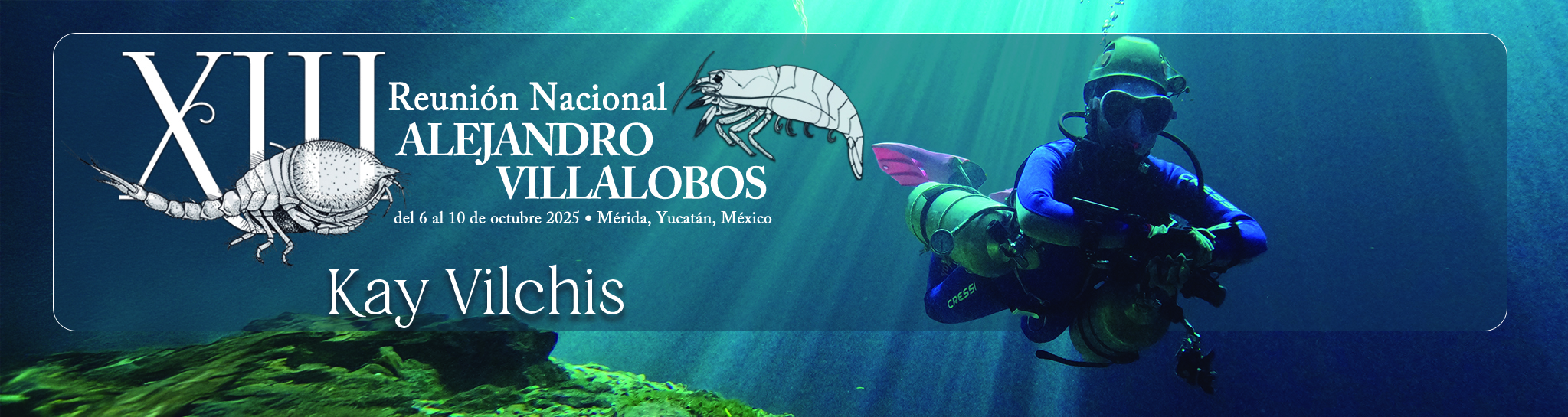 Conferencias: - Conferencias: -