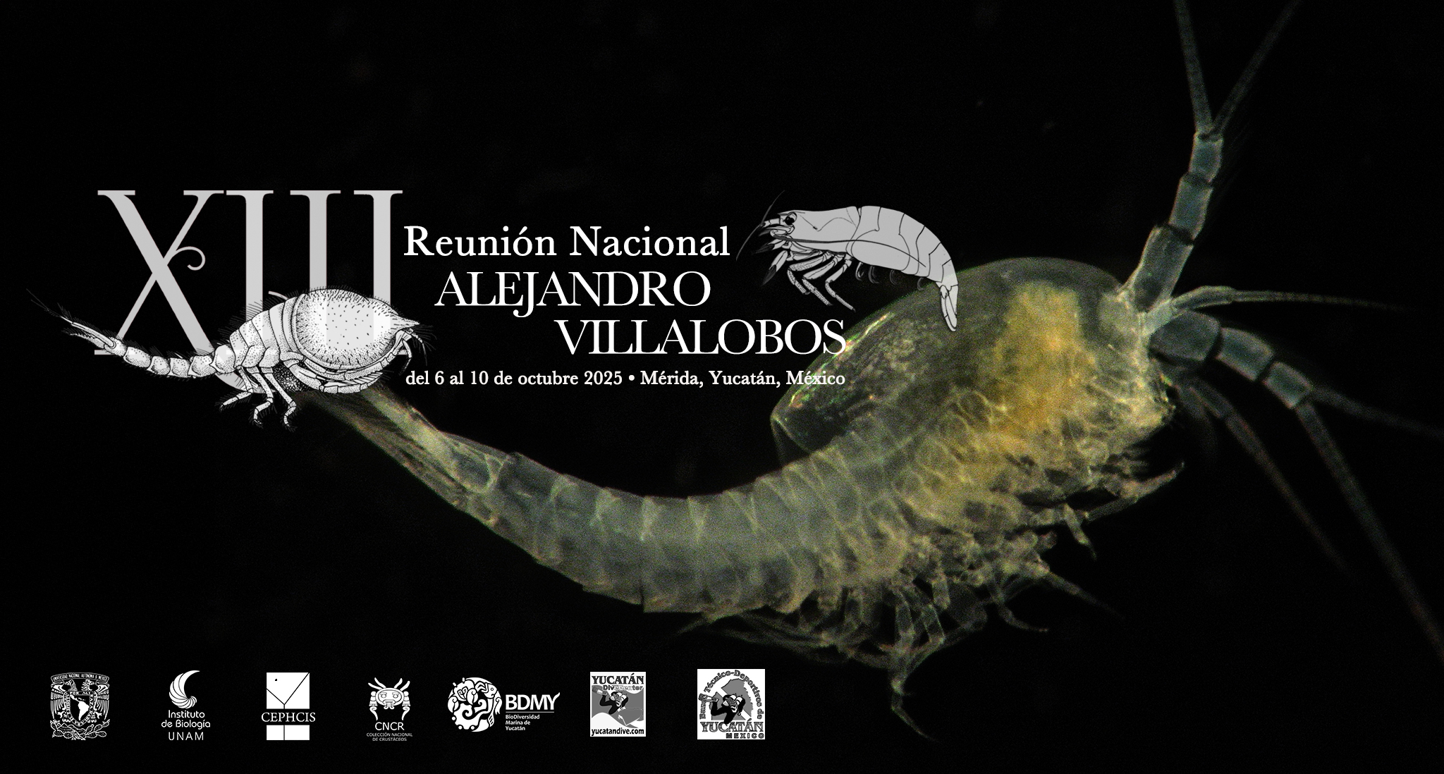 XIII Reunión Nacional Alejandro Villalobos