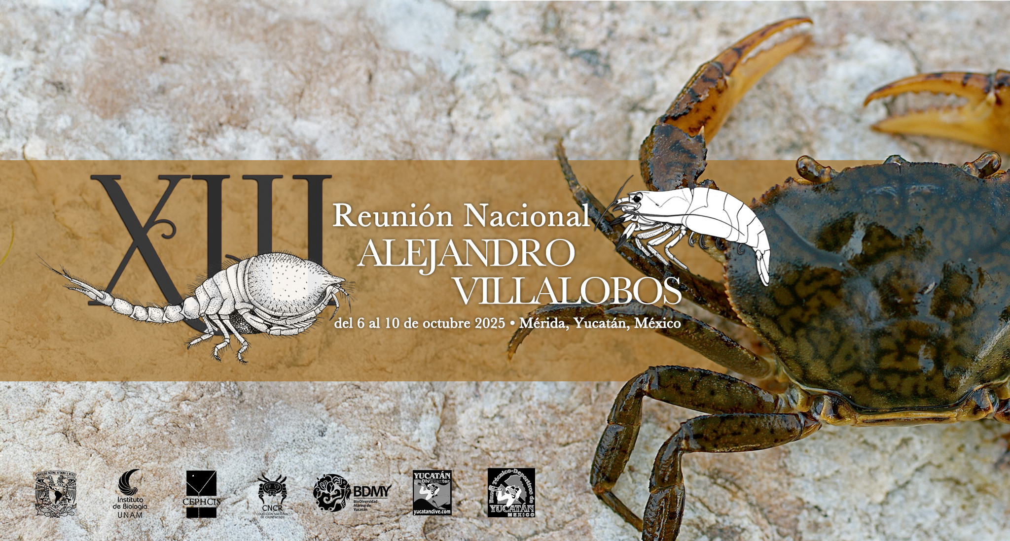 Registro al XIII RNAV