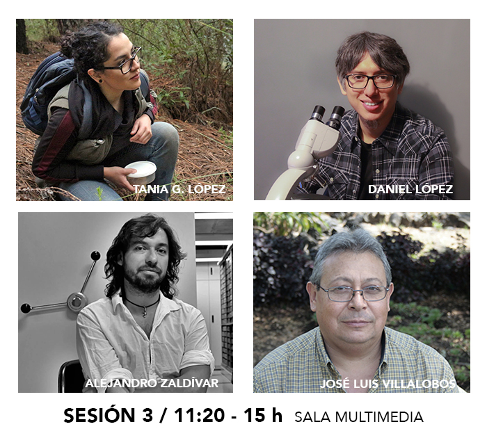 Conferencias: - Conferencias: -