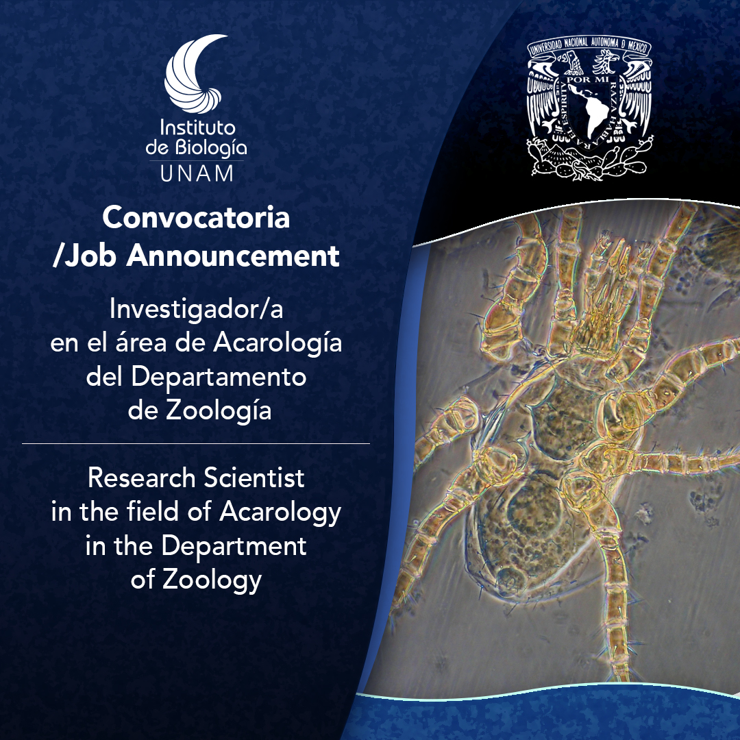 Investigador/a en el área de Acarología del Departamento de Zoología - Instituto de Biología, UNAM