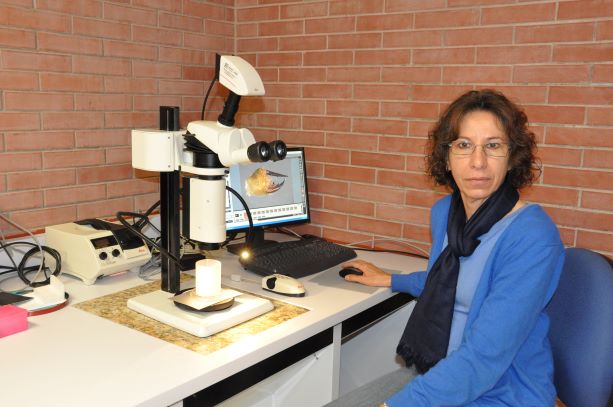 Biól. Guzmán Gómez, Susana IB-UNAM Biól. Guzmán Gómez, Susana IB-UNAM