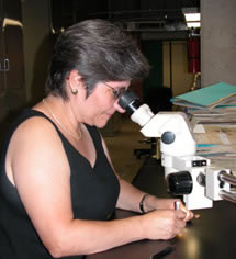 Dra. Flores Olvera, María Hilda IB-UNAM