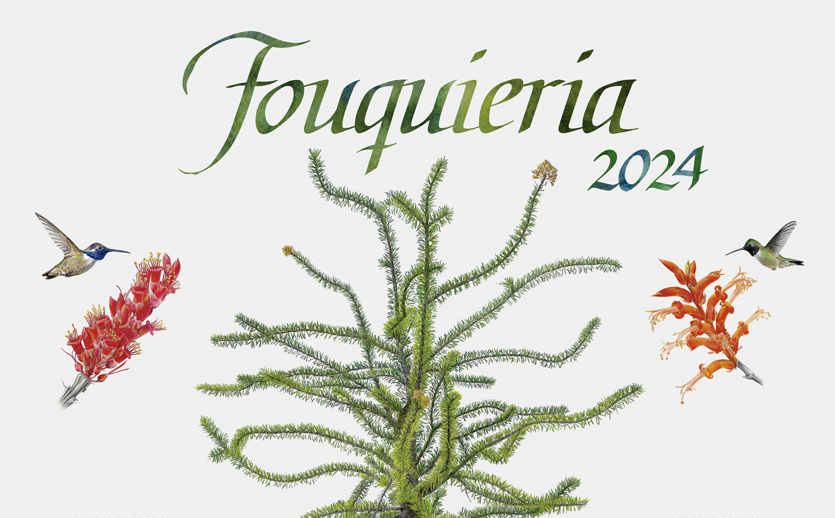 Calendario 2024 - Instituto de Biología, UNAM