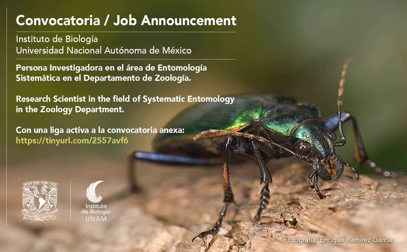 Convocatoria - Instituto de Biología, UNAM