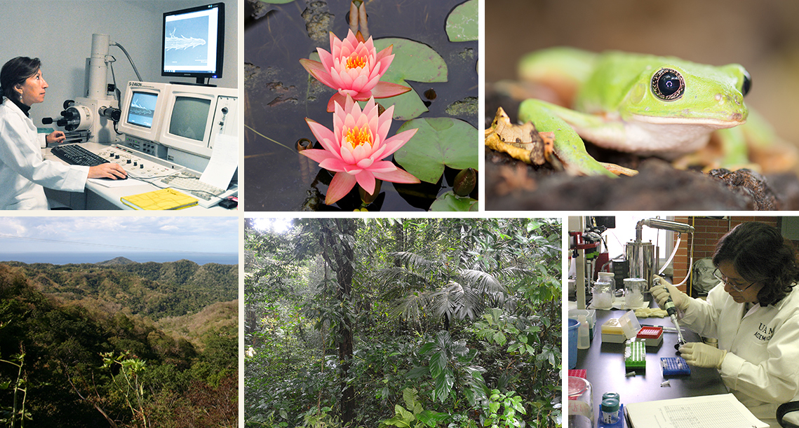 Acerca de LANABIO: Laboratorio Nacional de Biodiversidad (LANABIO)  - Instituto de Biología de la UNAM