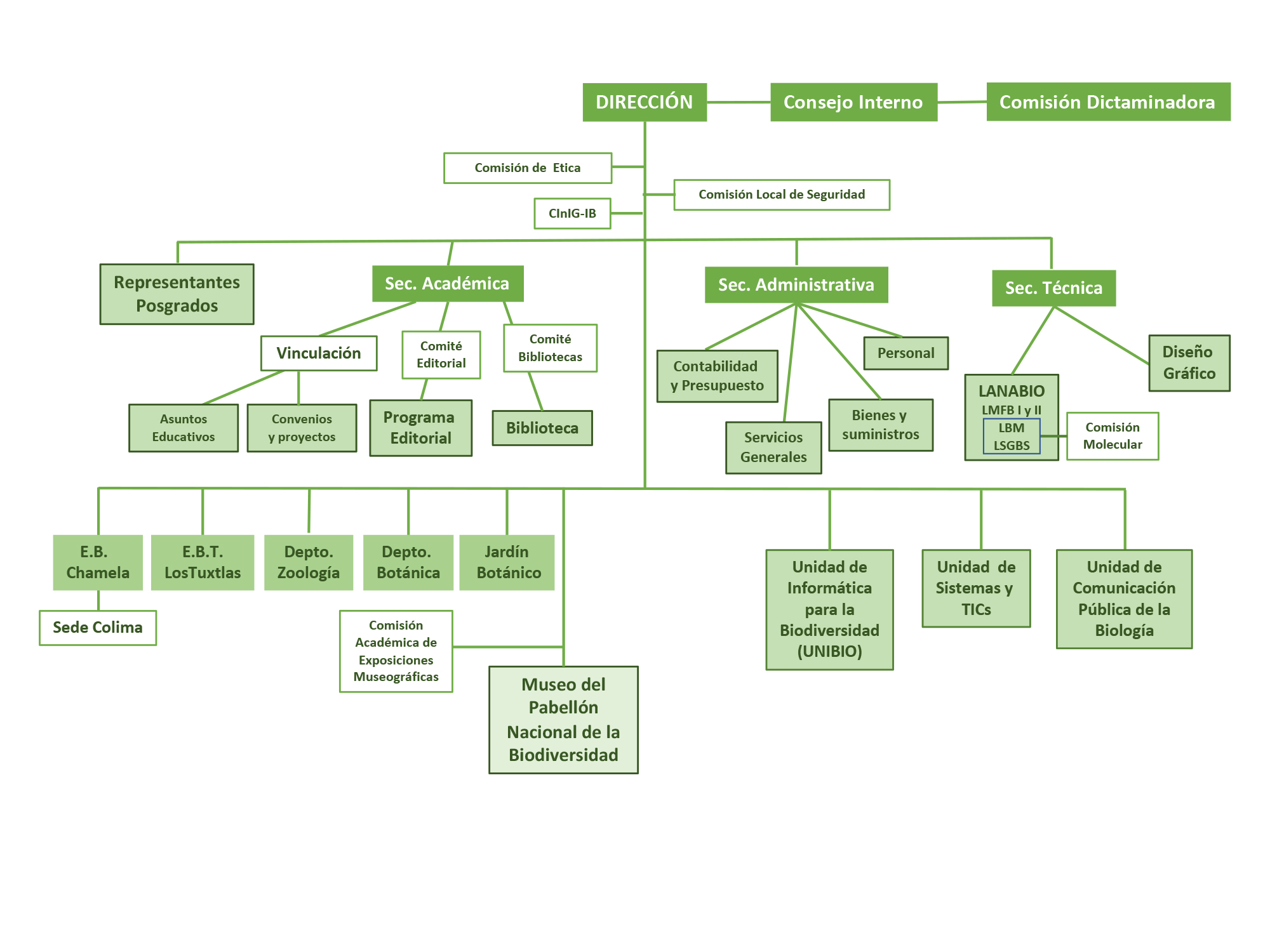 Organigrama:  - Instituto de Biología, UNAM