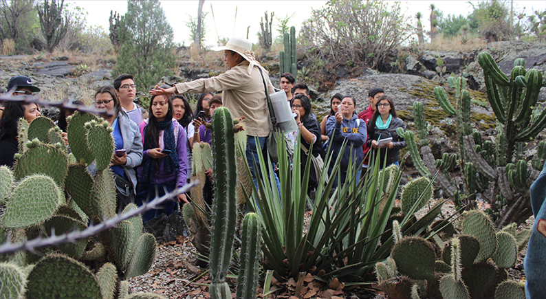 Jardín Botánico del IBUNAM - Instituto de Biología