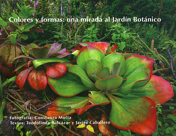 Colores y formas. Una mirada
al Jardín Botánico - Instituto de Biología, UNAM