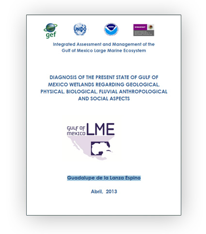 Diagnosis of the present state of Gulf of Mexico wetlands regarding geological, physical, biological, fluvial anthropological and social aspects - Instituto de Biología, UNAM