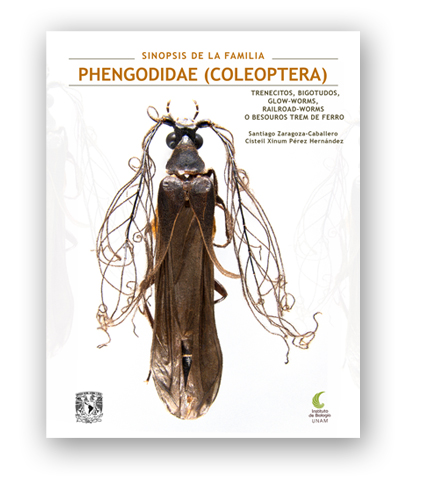 Sinopsis de la familia Phengodidae (Coleoptera): Trenecitos, bigotudos, glow-worms, railroad-worms o besouros trem de ferro - Instituto de Biología, UNAM