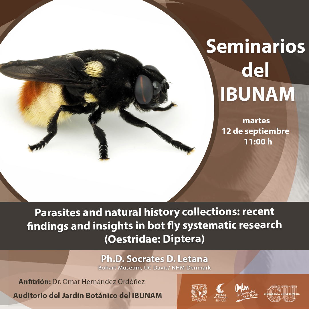 Parasites and natural history collections: recent findings and insights in bot fly systematic research (Oestridae: Diptera) - Instituto de Biología, UNAM