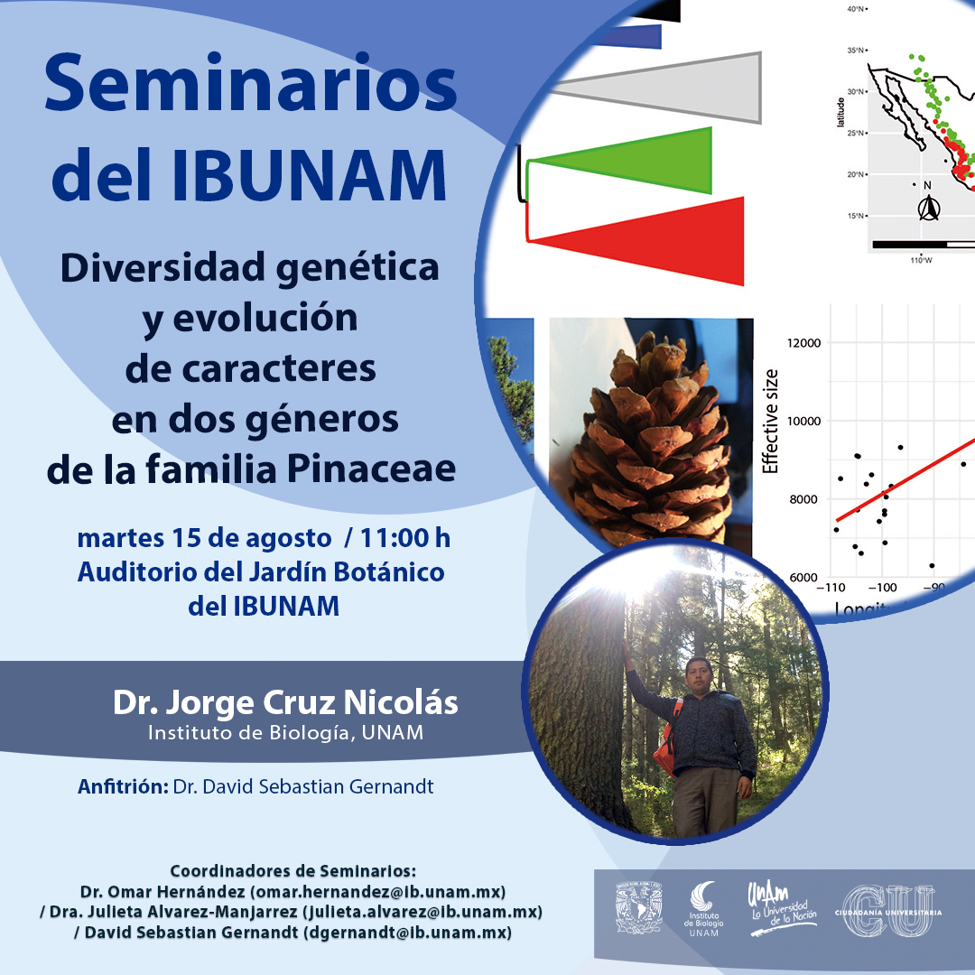 Diversidad genética y evolución de caracteres en dos géneros de la familia Pinaceae - Instituto de Biología, UNAM