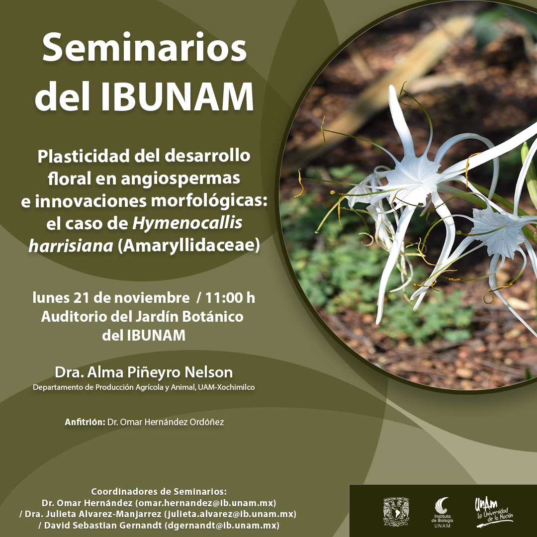 Plasticidad del desarrollo  floral en angiospermas  e innovaciones morfológicas: el caso de  Hymenocallis harrisiana (Amaryllidaceae) - Instituto de Biología, UNAM