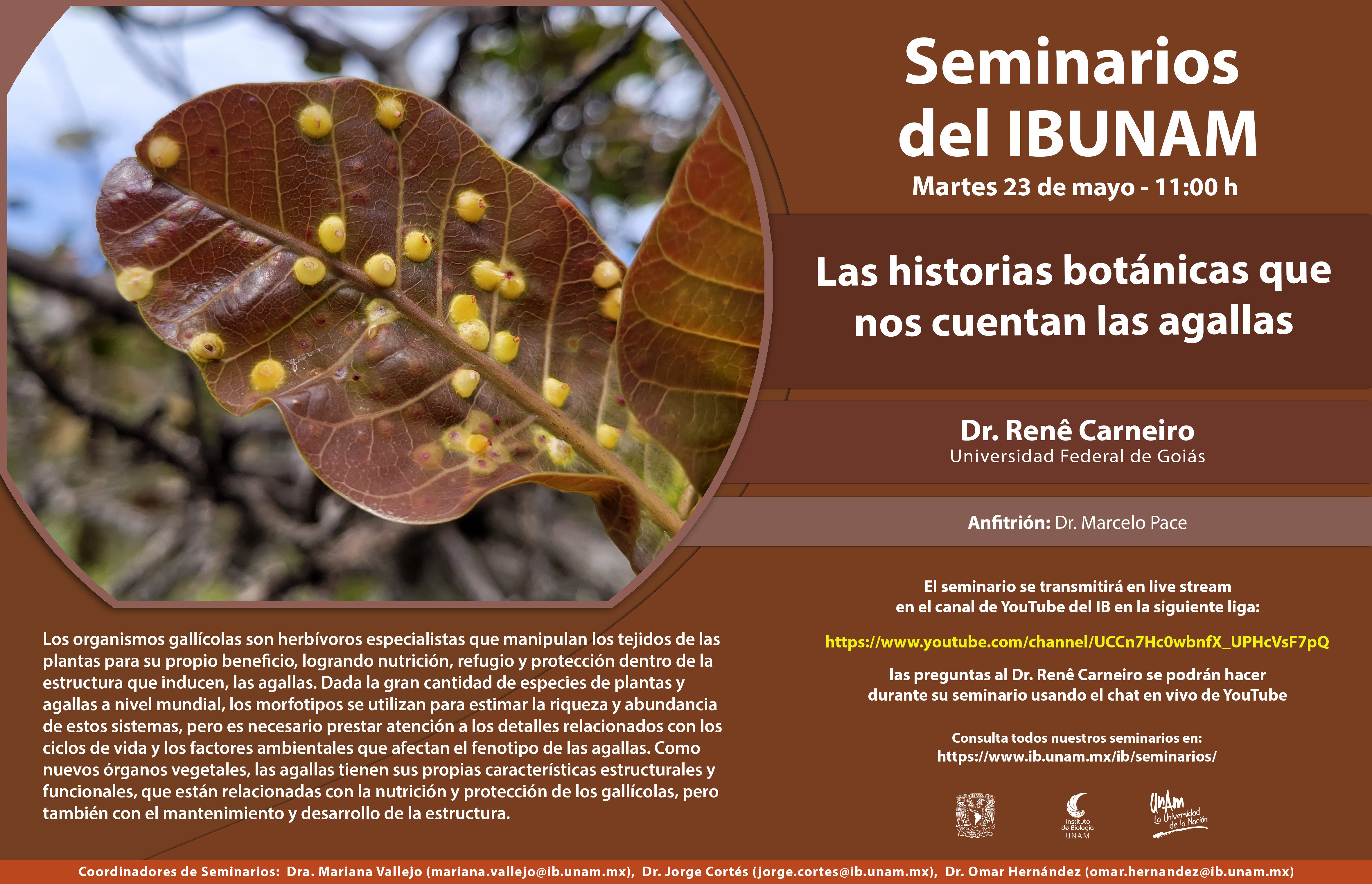 Las historias botánicas que nos cuentan las agallas - Instituto de Biología, UNAM