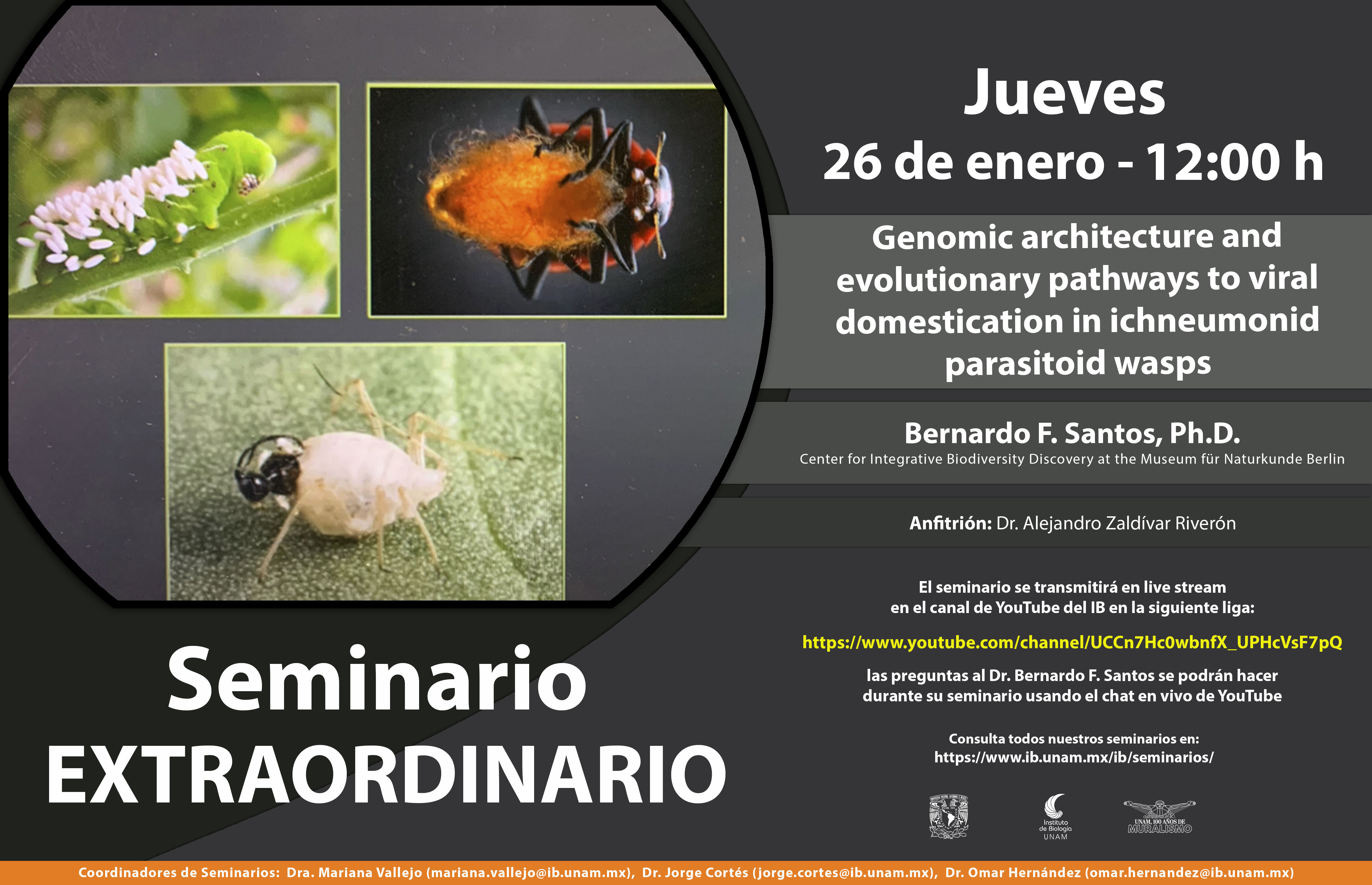 Genomic architecture and evolutionary pathways to viral domestication in ichneumonid parasitoid wasps - Instituto de Biología, UNAM