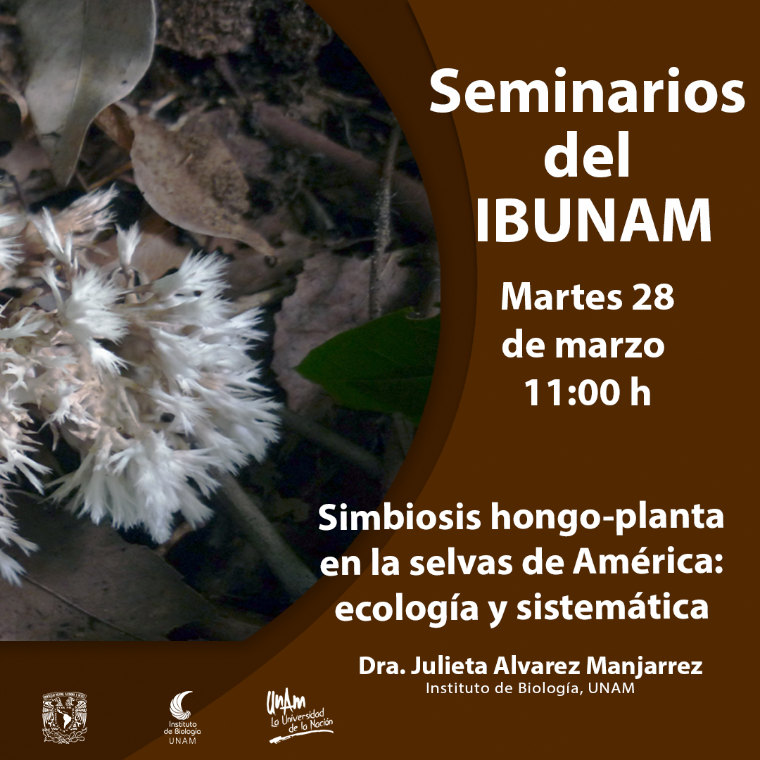 Simbiosis hongo-planta en la selvas de América: ecología y sistemática - Instituto de Biología, UNAM