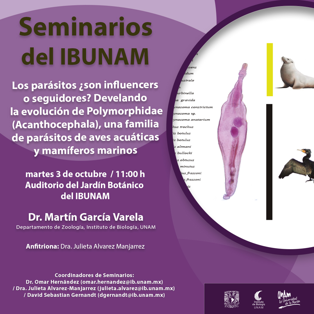 Los parásitos ¿son influencers  o seguidores? Develando  la evolución de Polymorphidae (Acanthocephala), una familia  de parásitos de aves acuáticas  y mamíferos marinos - Instituto de Biología, UNAM