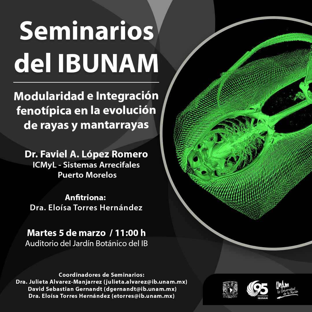 Modularidad e Integración fenotípica en la evolución  de rayas y mantarrayas - Instituto de Biología, UNAM