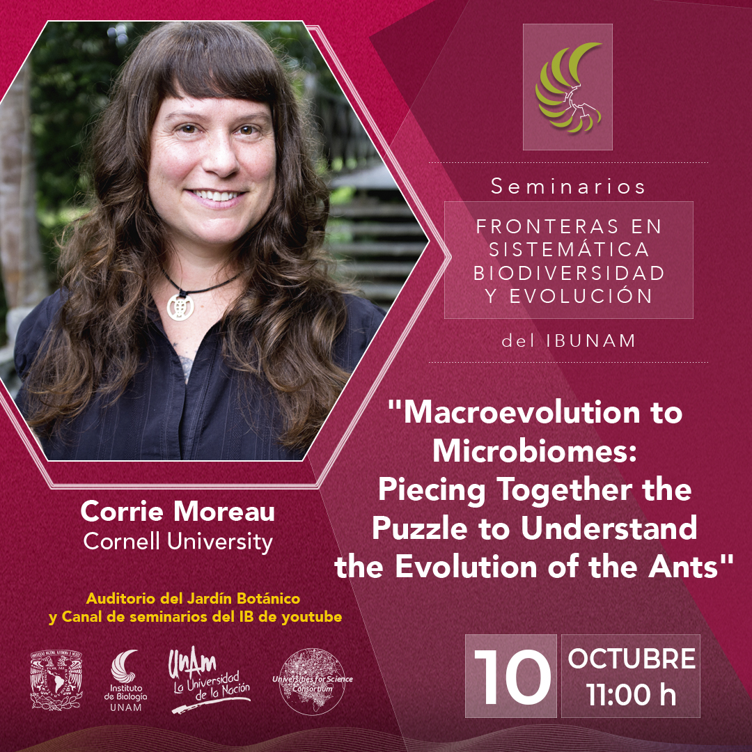 Macroevolution to Microbiomes: Piecing Together the Puzzle  to Understand the Evolution of the Ants - Instituto de Biología, UNAM