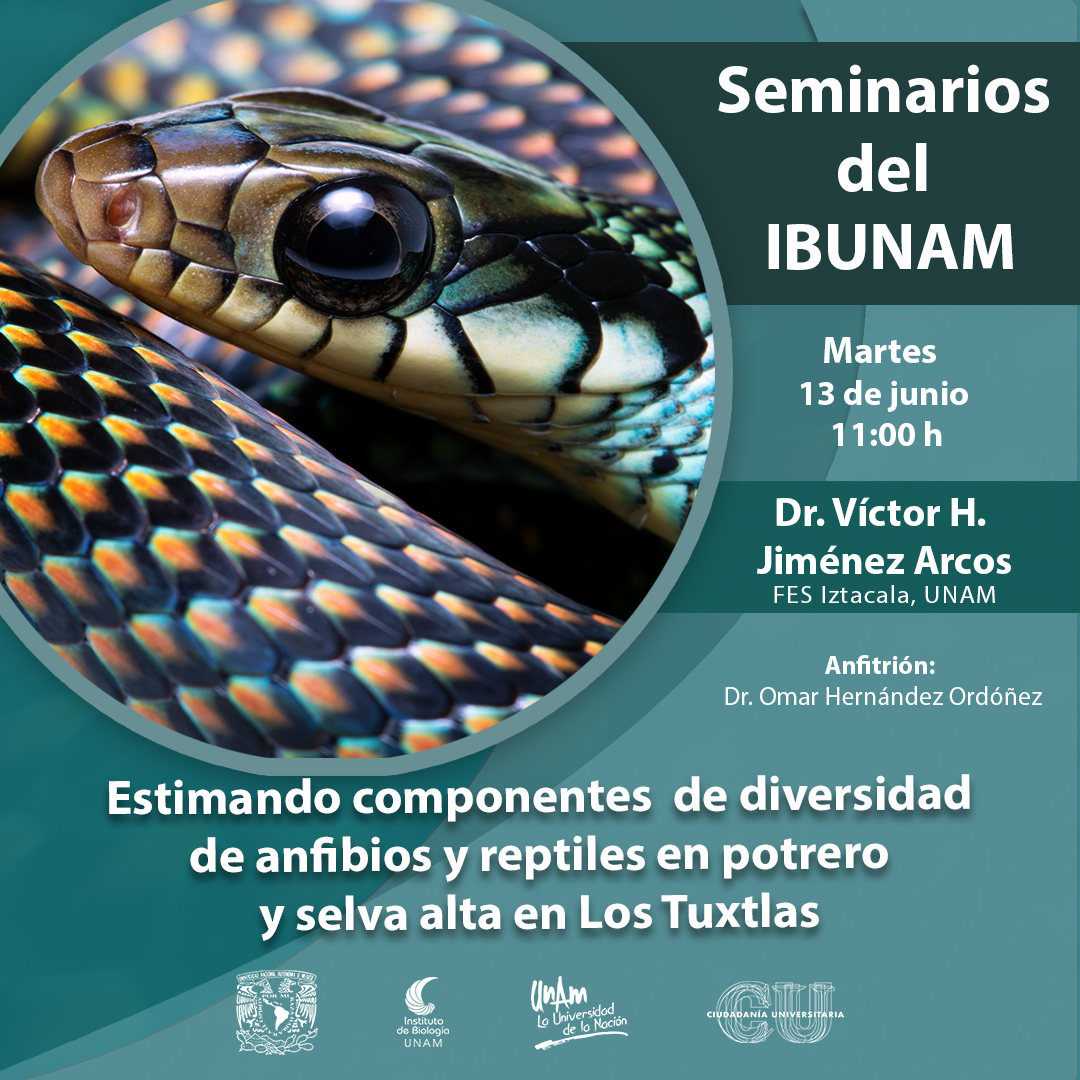 Estimando componentes  de diversidad de anfibios y reptiles en potrero y selva alta en Los Tuxtlas - Instituto de Biología, UNAM