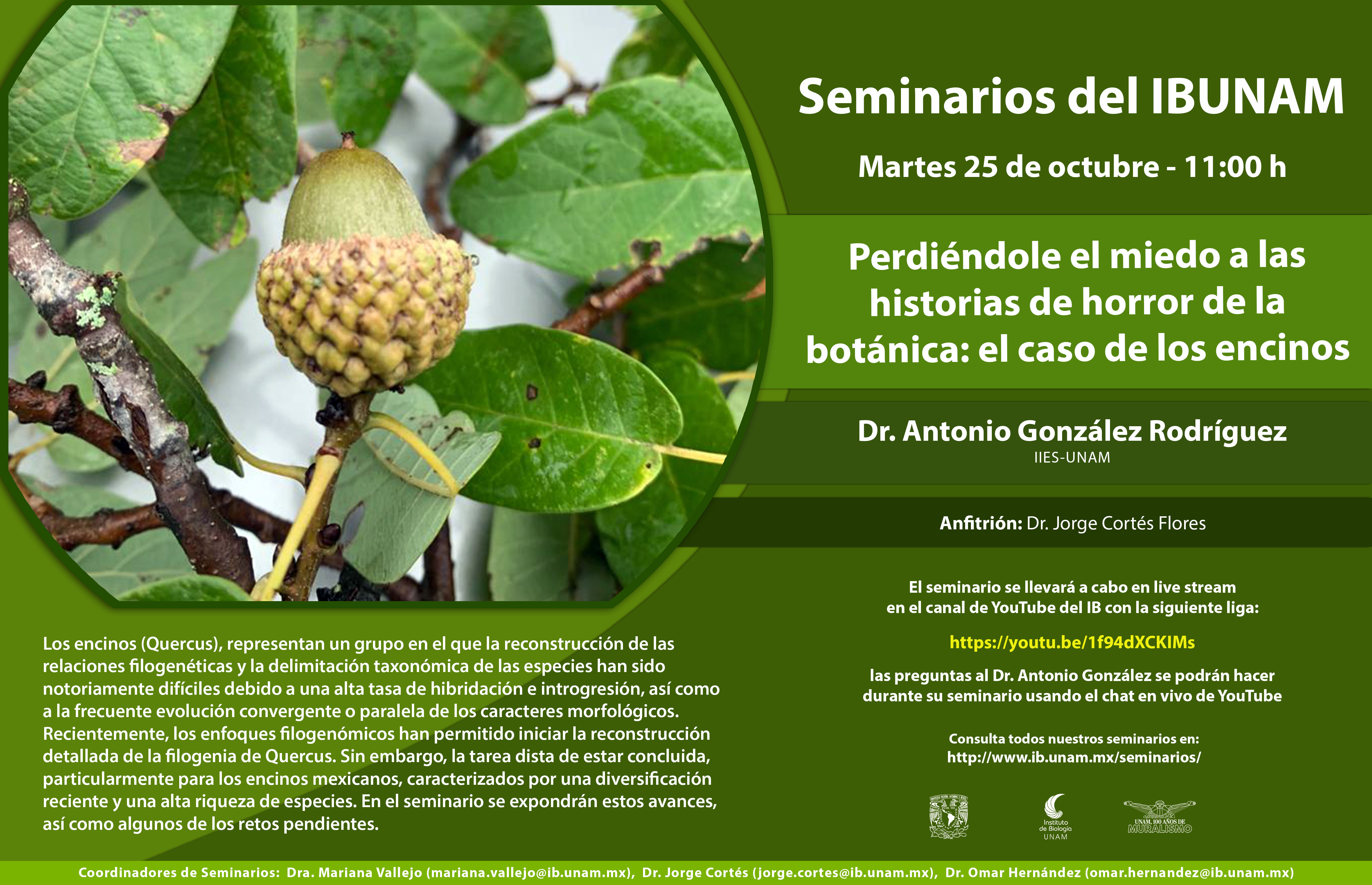 Perdiéndole el miedo a las historias de horror de la botánica: el caso de los encinos - Instituto de Biología, UNAM