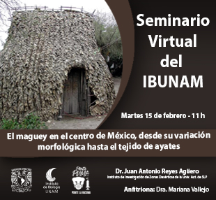 El maguey en el centro de México, desde su variación morfológica hasta el tejido de ayates - Instituto de Biología, UNAM