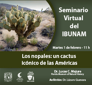 Los nopales: un cactus icónico de las Américas - Instituto de Biología, UNAM