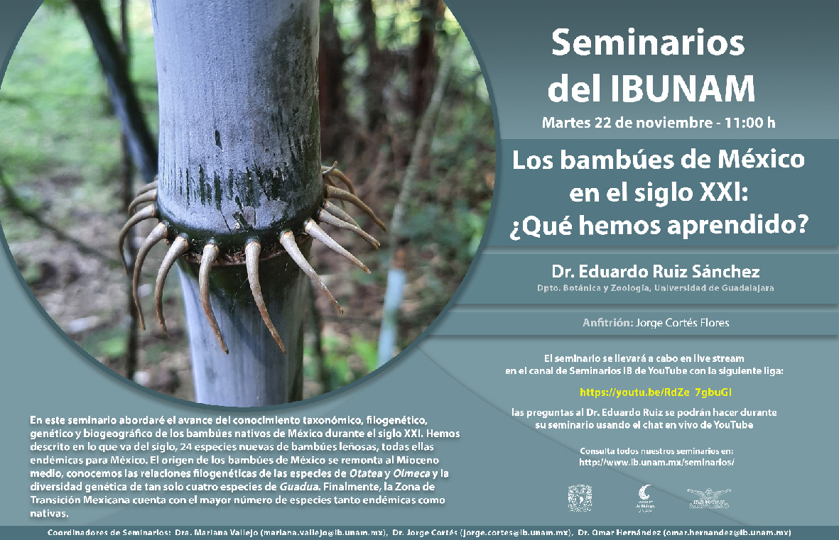 Los bambúes de México en el siglo XXI: ¿Qué hemos aprendido? - Instituto de Biología, UNAM
