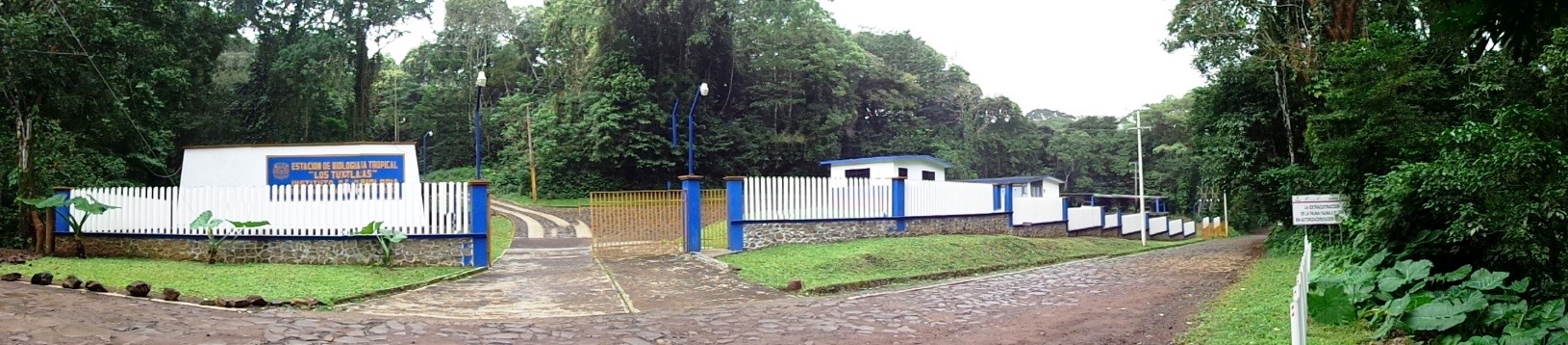 Acerca de la Estación de Biología Los Tuxtlas: Estación de Biología Los Tuxtlas - Km. 30 carretera Catemaco – Montepio
Codigo Postal 95701. – San Andrés Tuxla, Veracruz, México.