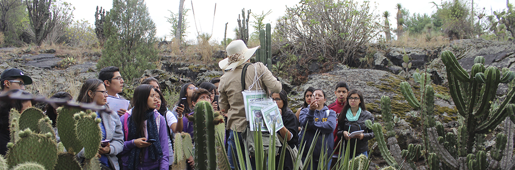 Visita guiada a las colecciones vivas del Jardín Botánico del IBUNAM - Instituto de Biología, UNAM