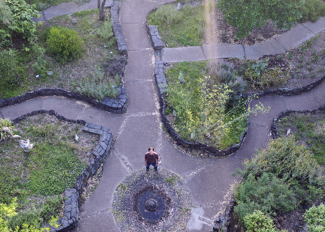 Colecciones Vivas del Jardín Botánico:  - 