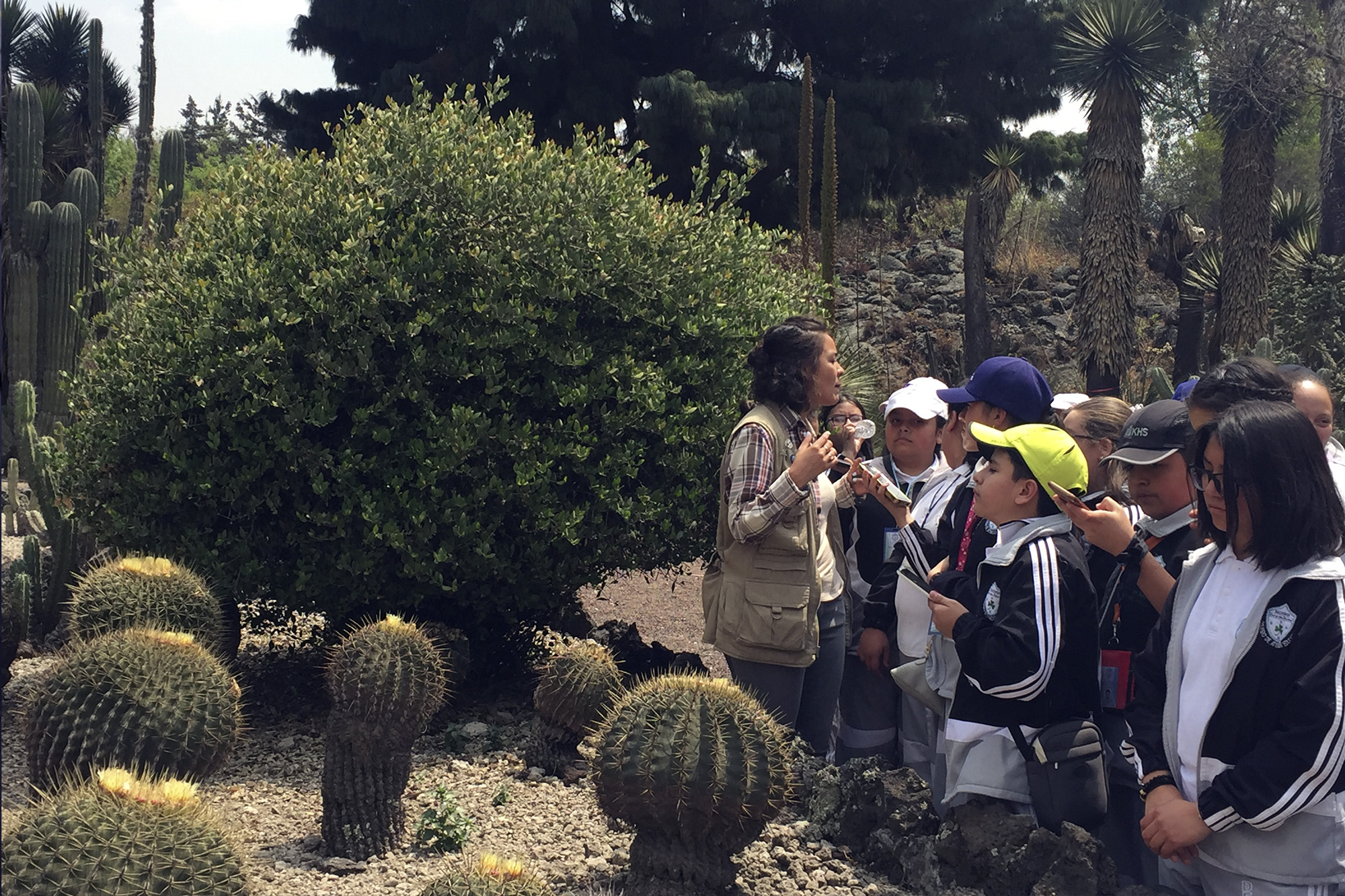 Actividades educativas del Jardín Botánico