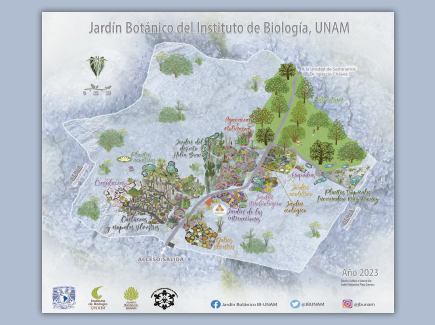 Mapa de Colecciones del Jardín Botánico del IBUNAM - Instituto de Biología