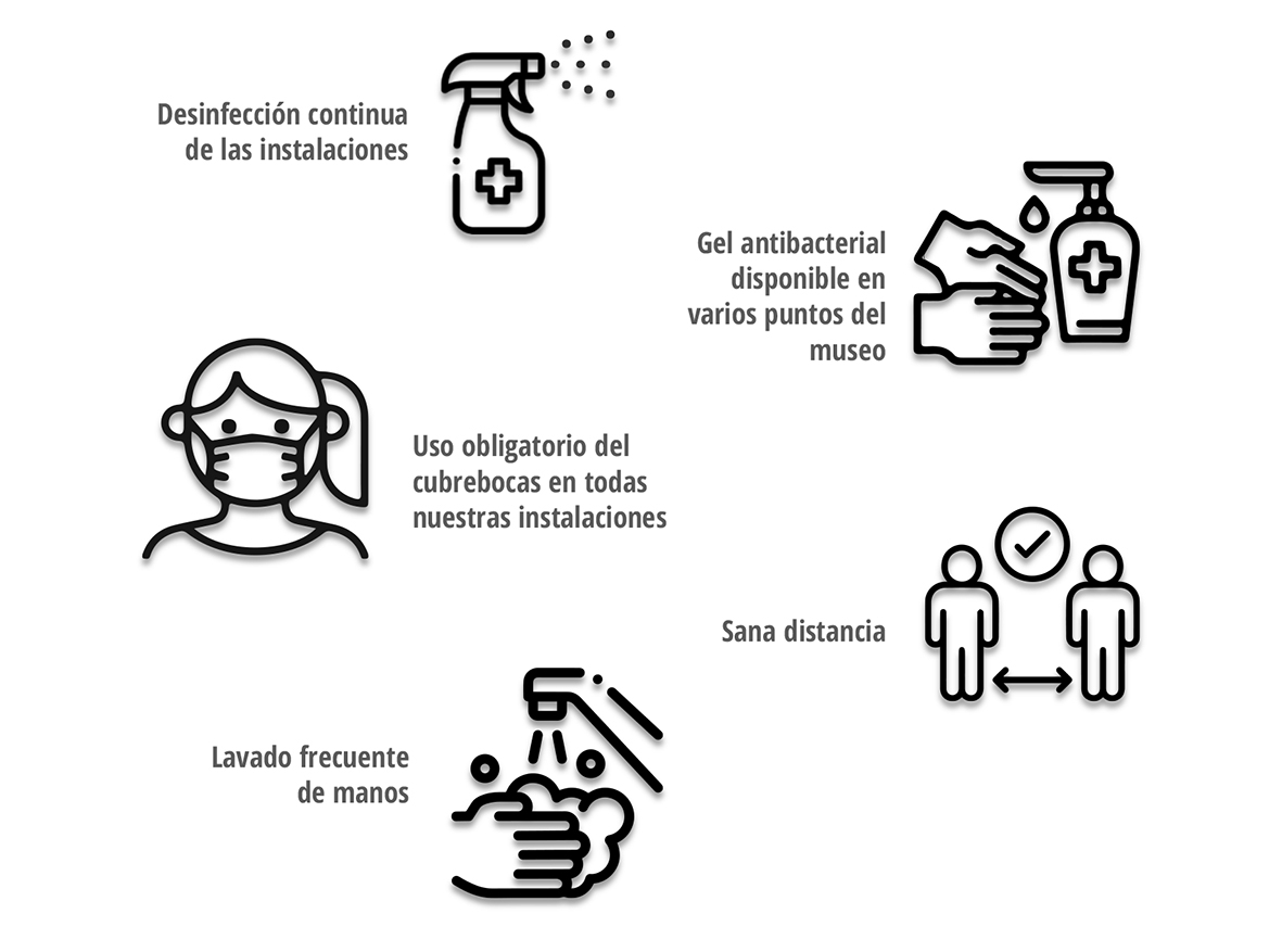 Protocolo COVID: - Protocolo COVID: -