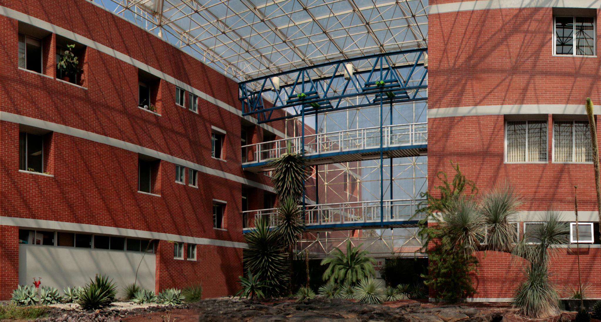 Institute of Biology UNAM
