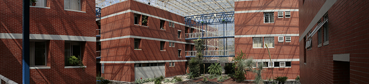 Instituto de Biología, UNAM